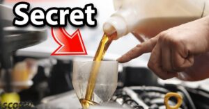 best engine oil for old