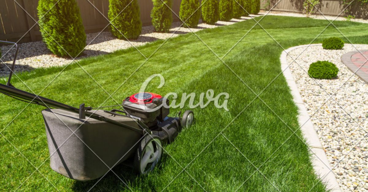 can i use car engine oil in my lawn mower
